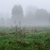 For dense mist so that could be cut (Stare Splavy)
